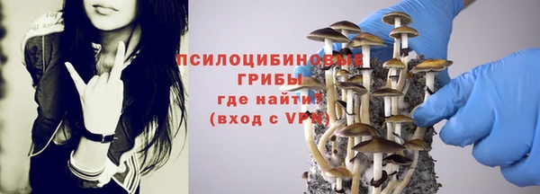 прущая мука Абаза