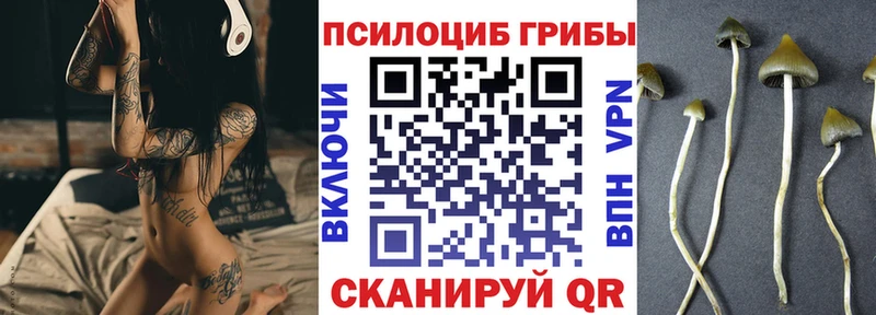 Галлюциногенные грибы мухоморы  Трубчевск 